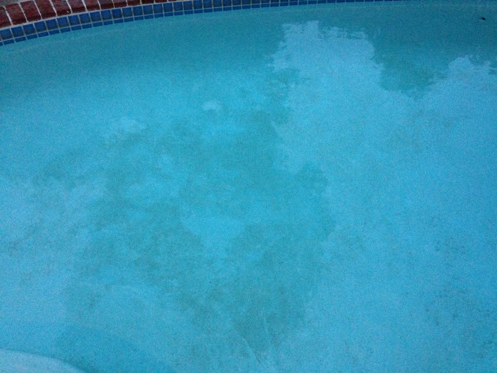 Algas en piscina